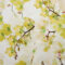 orchid-citrine