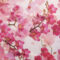 orchid-fuschia