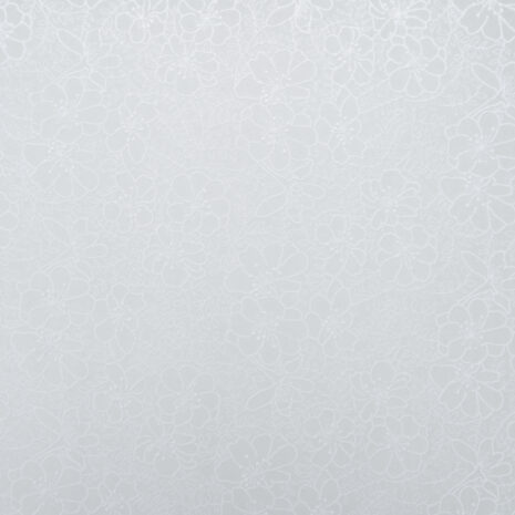 964543 Ivory